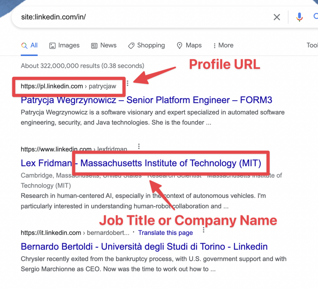 profili linkedin risultati della ricerca su google